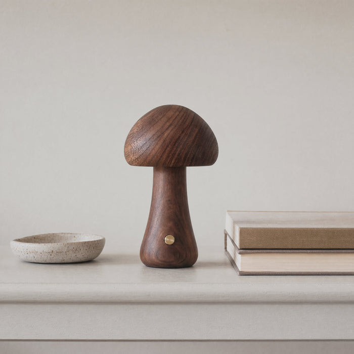 A Zivol Grove walnut lamp switched off on a shelf in afternoon daylight, beside books and a ceramic dish