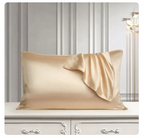Zivol Silk — Mulberry Silk Pillowcase