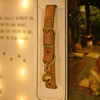 Close-up of a worn leather collar and its bell held in the Zivol Echo collar brackets, lit by warm LEDs