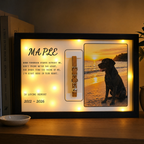 Zivol Echo lit on a living room shelf at dusk, holding a tan collar beside a photo of a black labrador