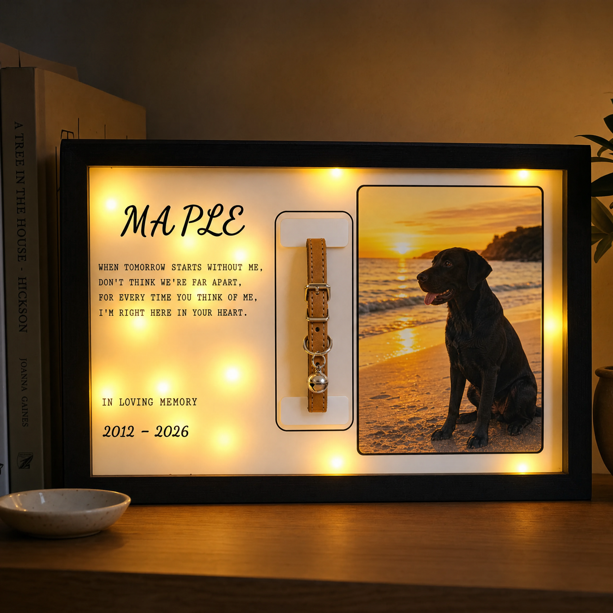 Zivol Echo lit on a living room shelf at dusk, holding a tan collar beside a photo of a black labrador