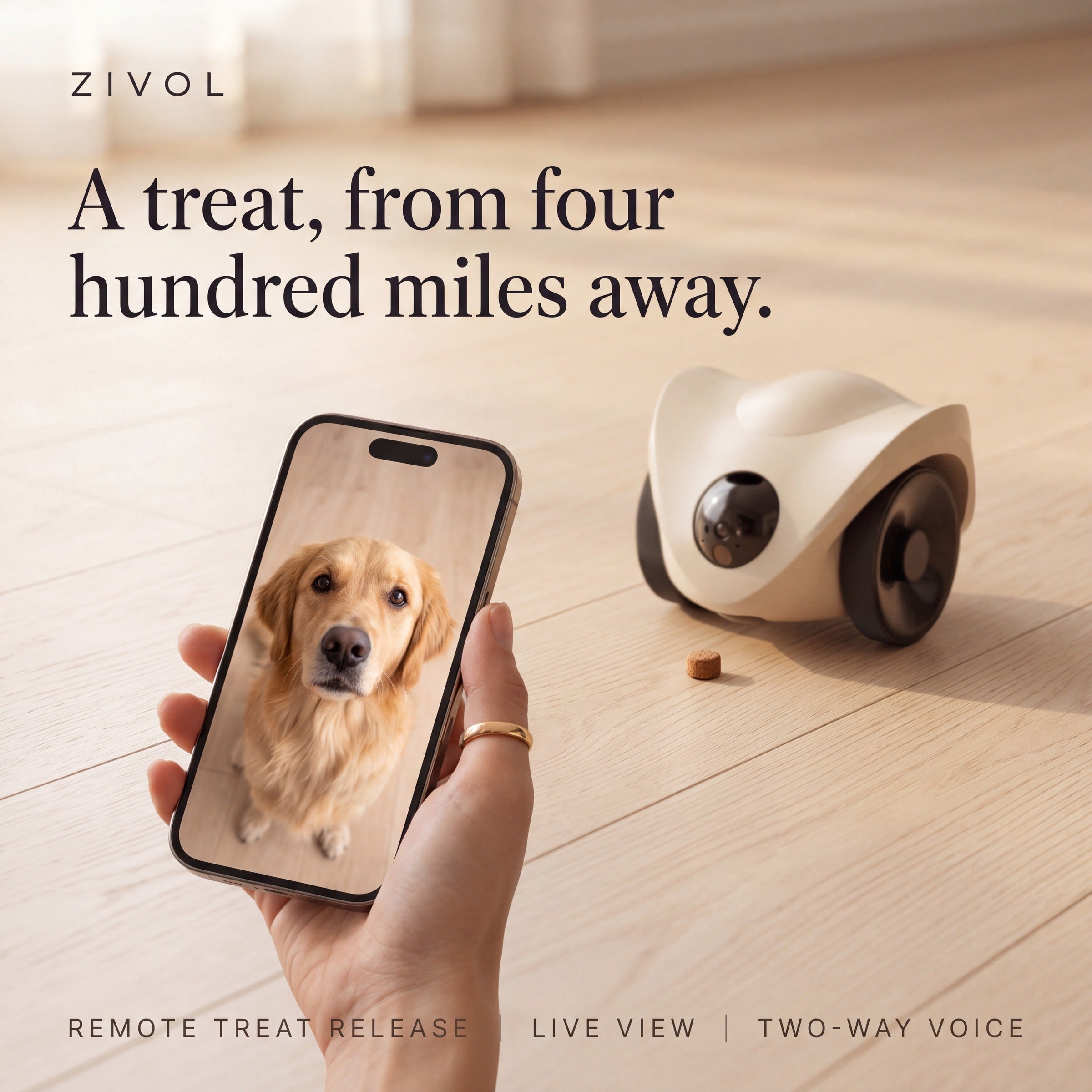 A treat from four hundred miles away — remote treat release and live view