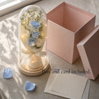 Zivol Ember beside its open gift box and blank card, ready to give