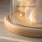 Close-up of the glass dome meeting the stepped wood base of Zivol Ember