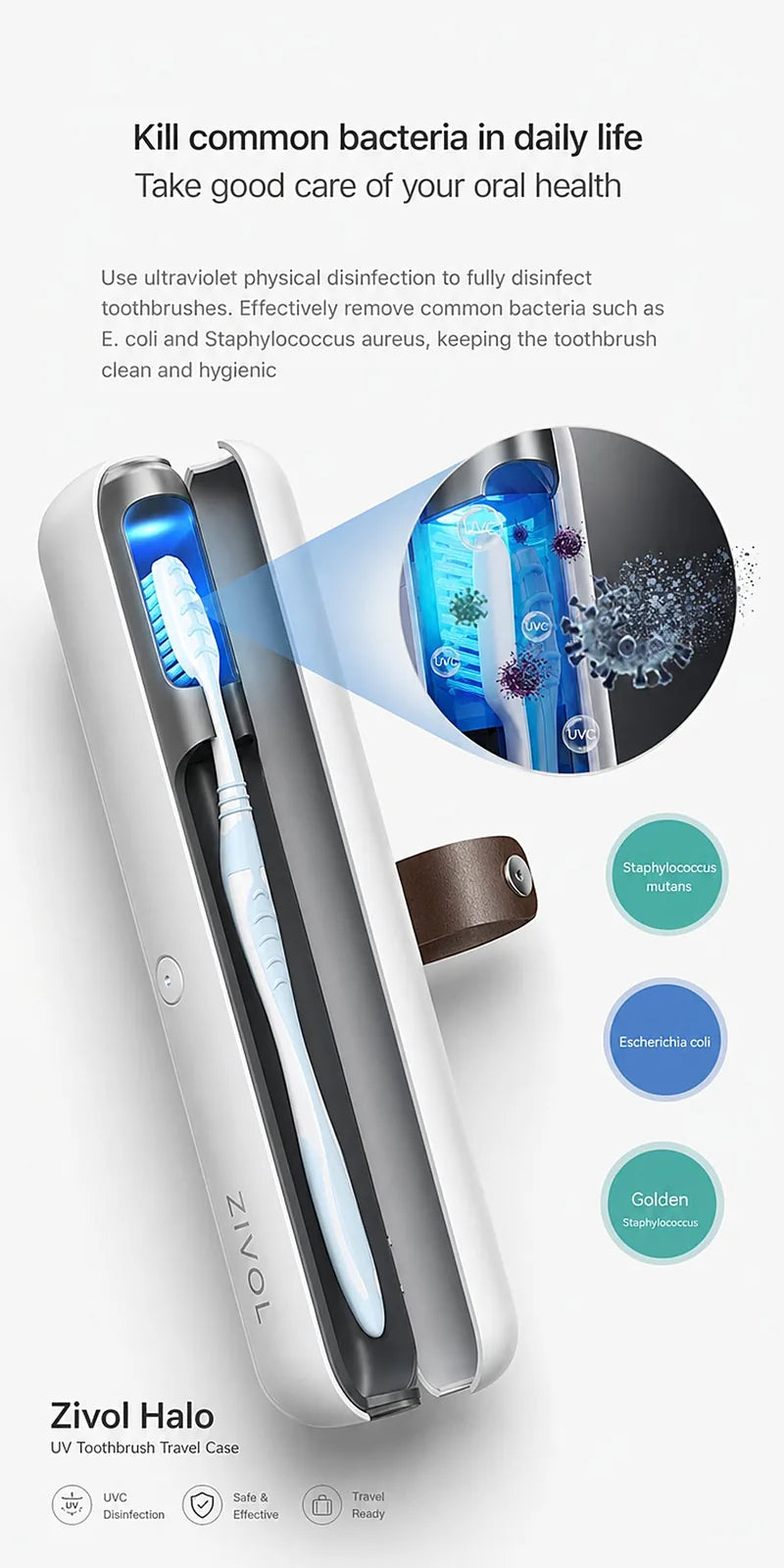 Toothbrush held under the UV-C lamp inside the Zivol Halo case